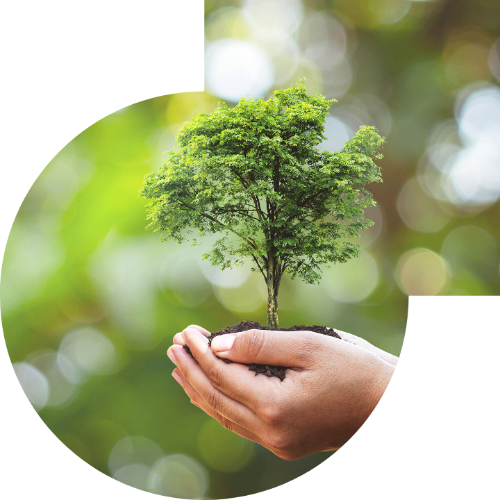 关怀人类、文化、环境与社会